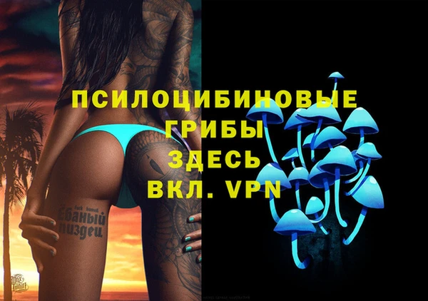 метадон Алексин