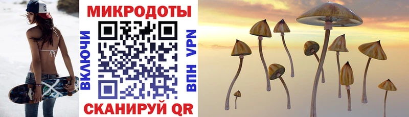 Псилоцибиновые грибы мицелий  Северская 